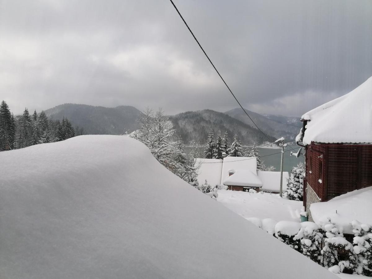Zaovine Vikendica Moonlight 빌라 외부 사진
