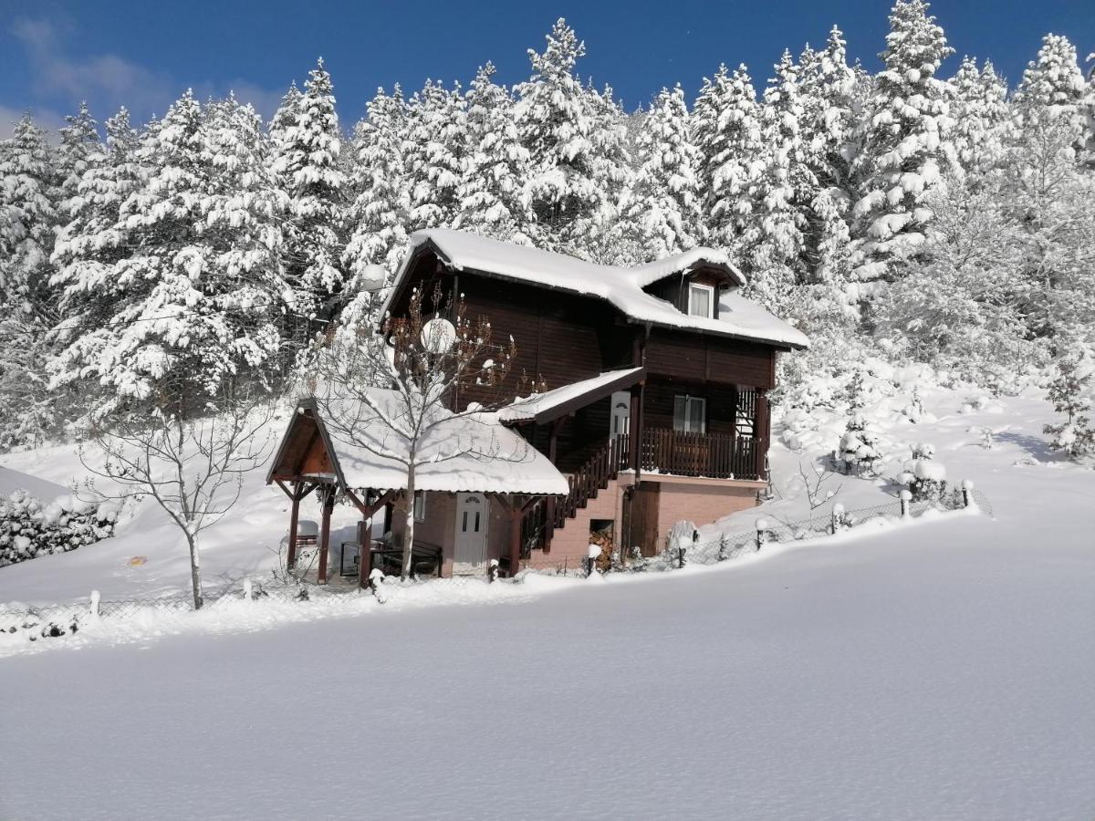 Zaovine Vikendica Moonlight 빌라 외부 사진