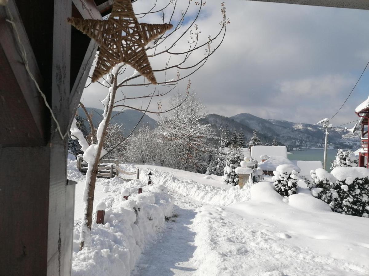 Zaovine Vikendica Moonlight 빌라 외부 사진